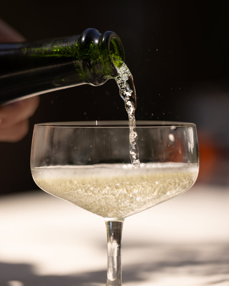 2023 Sparkling Picpoul Blanc