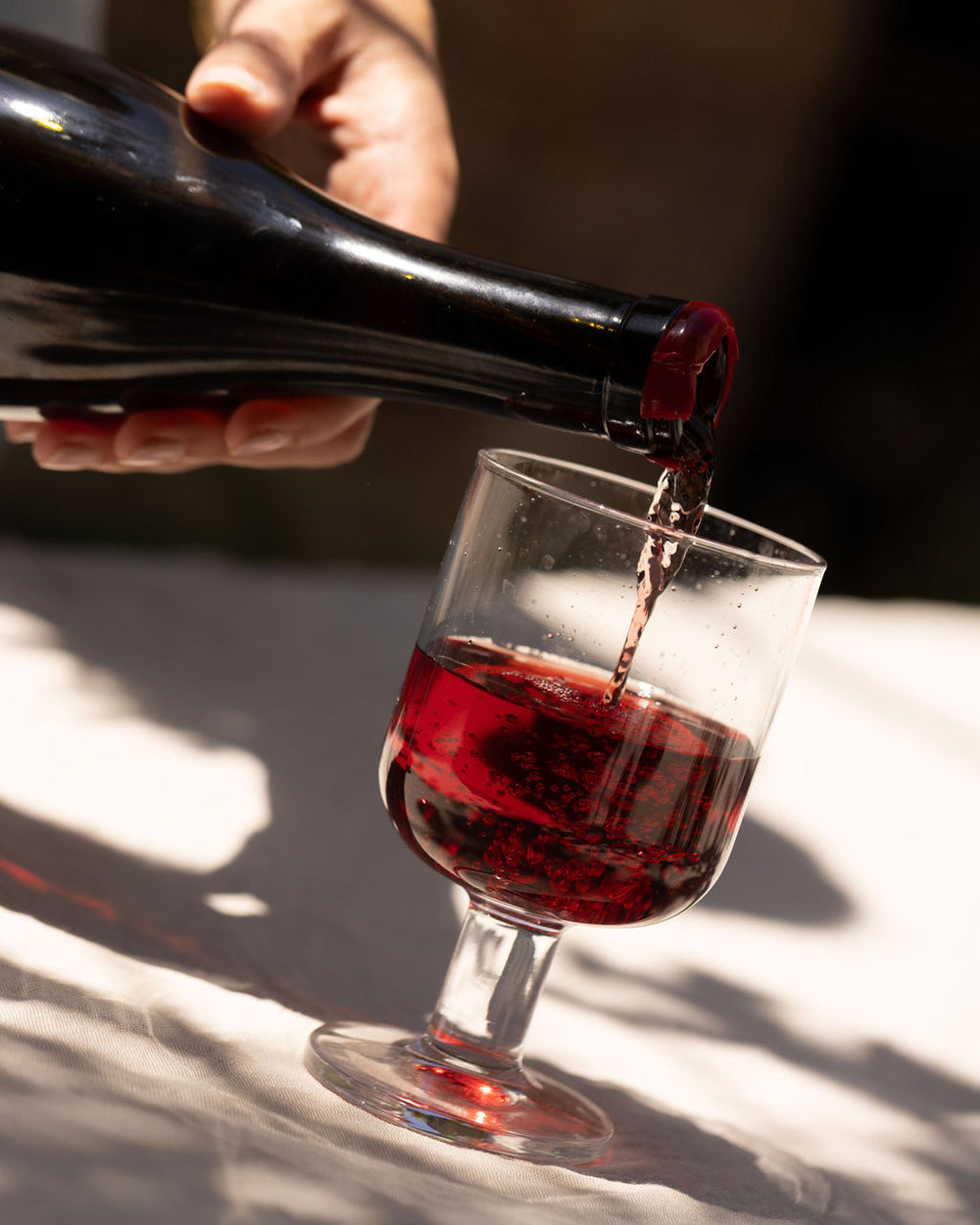 2024 Lorenza Cinsault – Lorenza Wine