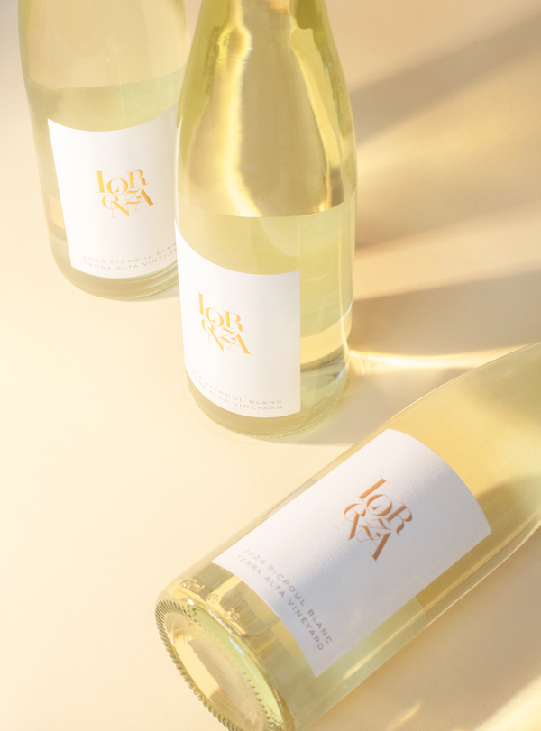 2024 Lorenza Picpoul Blanc, Terra Alta Vineyard