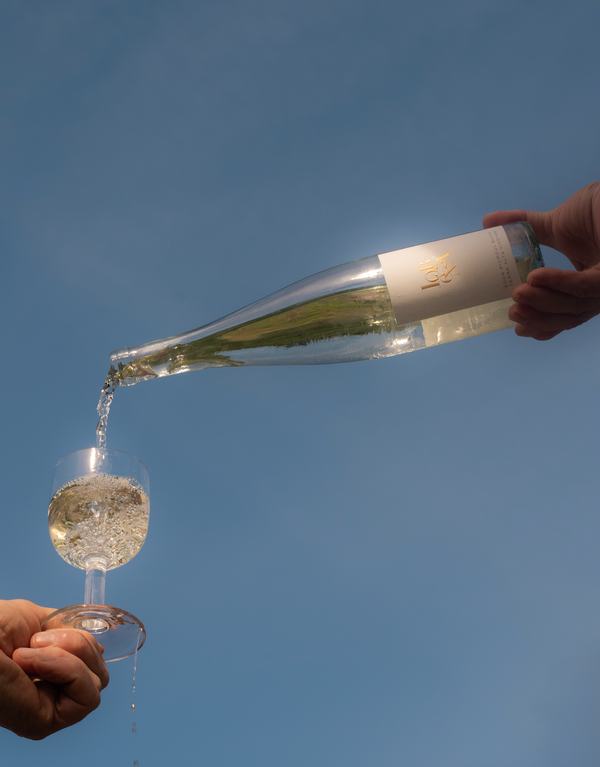 2024 Lorenza Picpoul Blanc, Terra Alta Vineyard