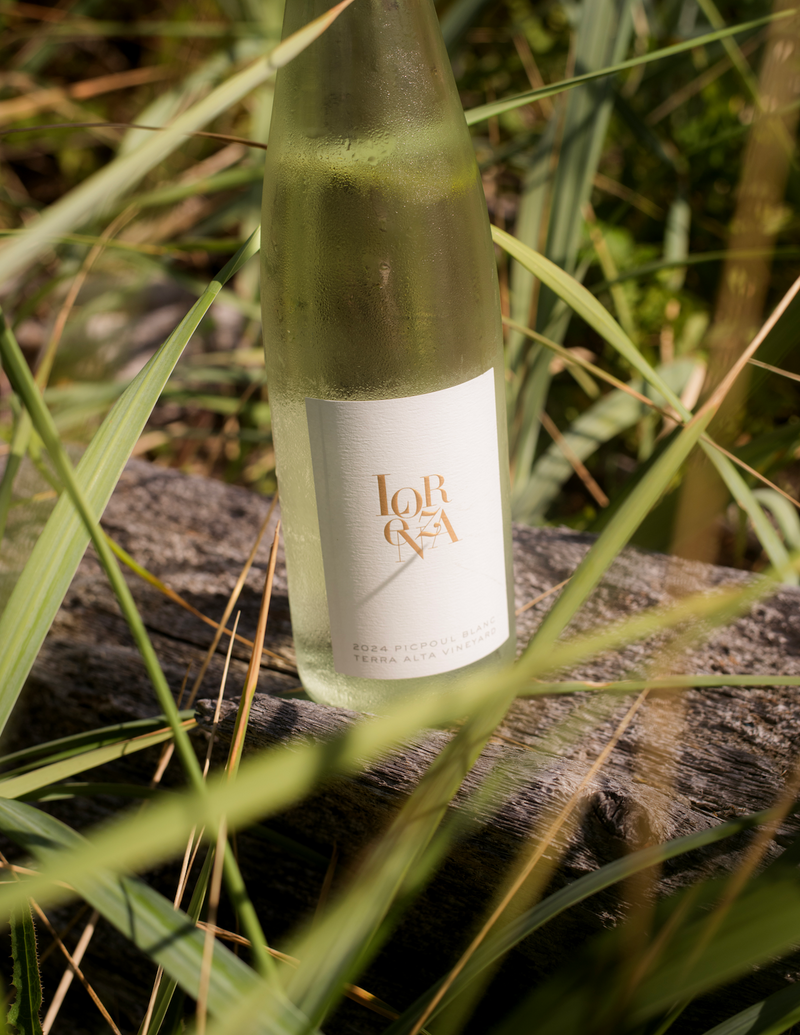 2024 Lorenza Picpoul Blanc, Terra Alta Vineyard
