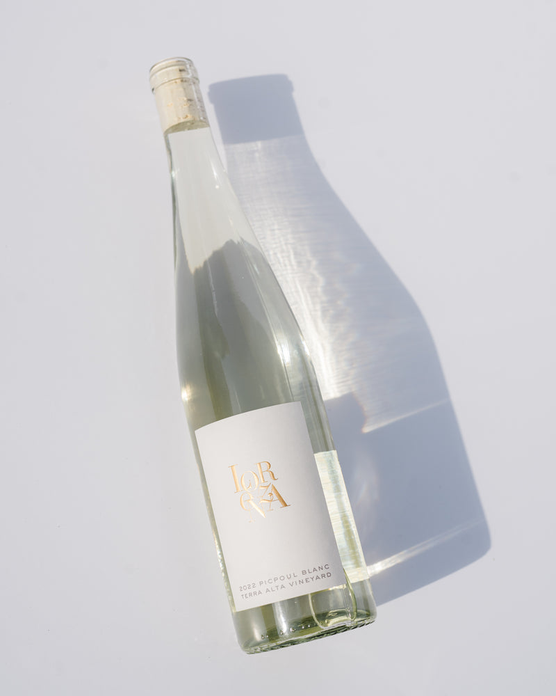 Bottle of Picpoul Blanc 